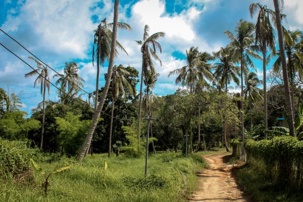 Loh Lana Bay - Hidden Paradise on Phi Phi Island - a world of destinations