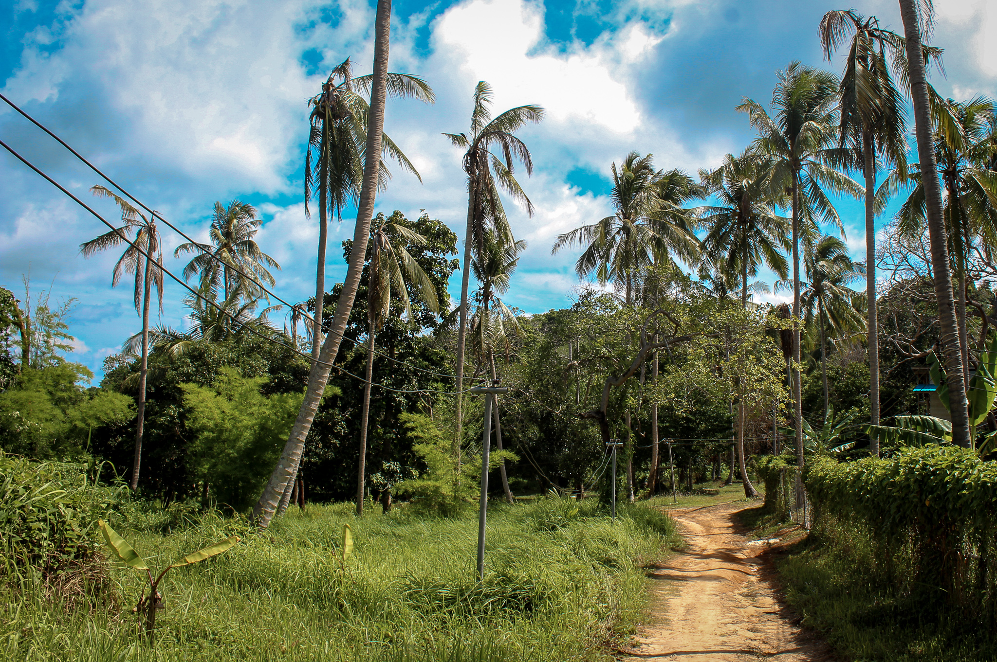 Path to Loh Lana Bay on Phi Phi Island