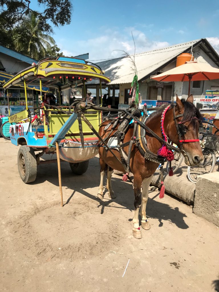 Horse carriage, Gili Islands