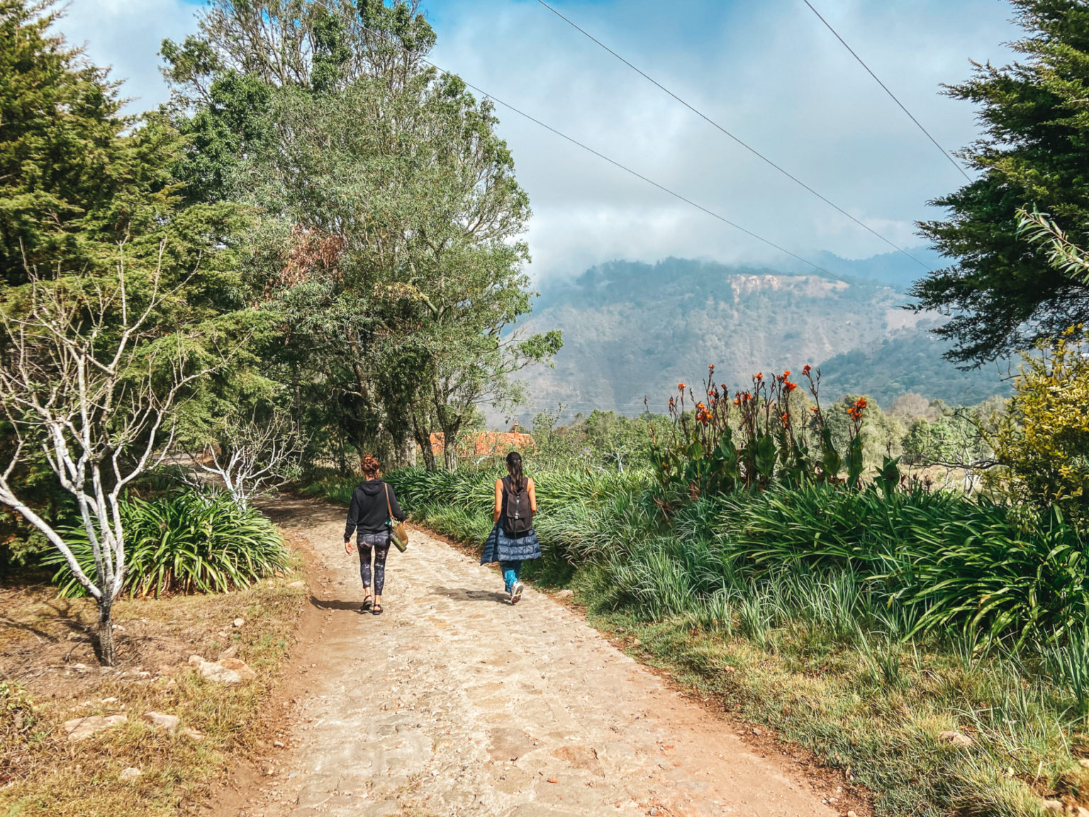 Ultimate Guide to San José del Pacífico, Oaxaca - a world of destinations