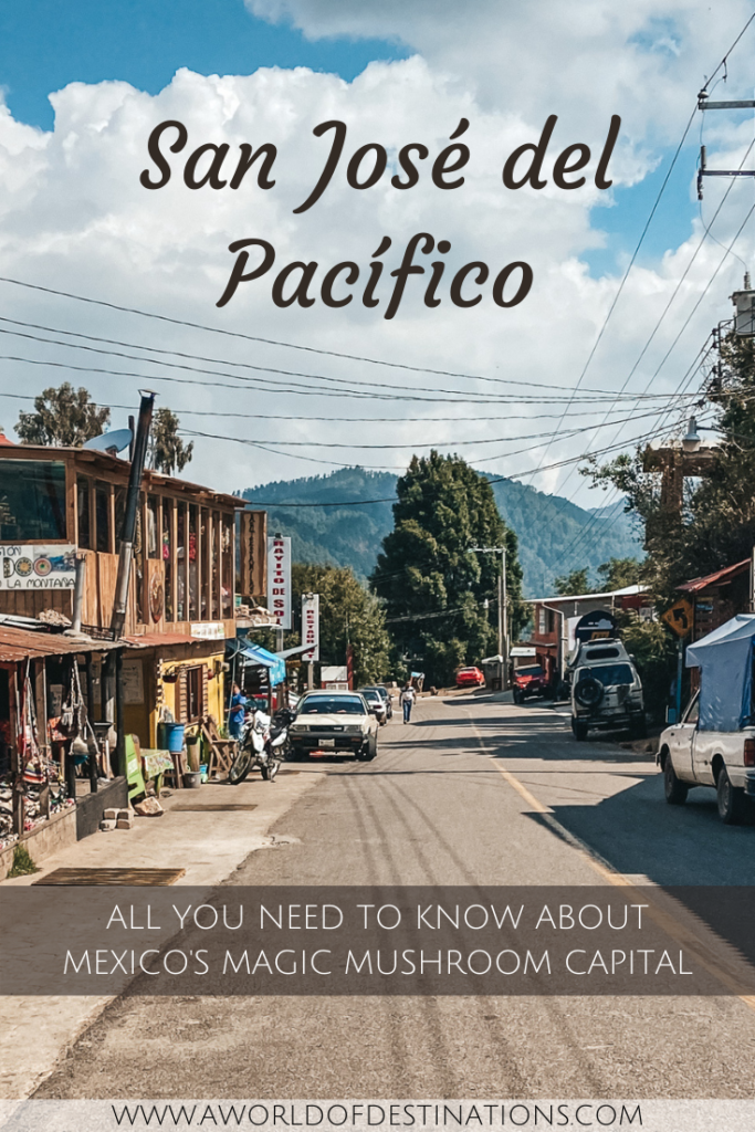 Galerias Pacifico - What To Know BEFORE You Go