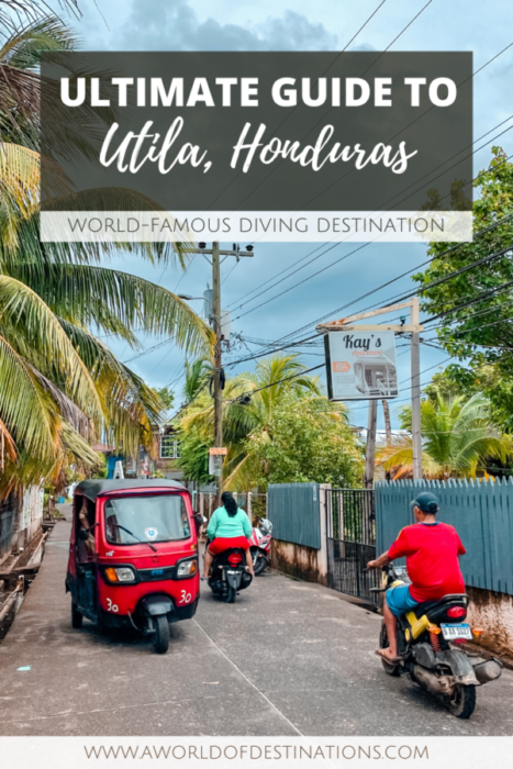 Utila, Honduras - Diving in Utila and best things to do